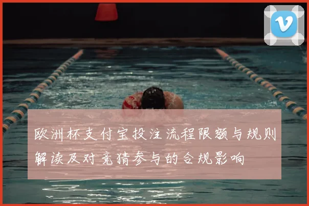 欧洲杯支付宝投注流程限额与规则解读及对竞猜参与的合规影响