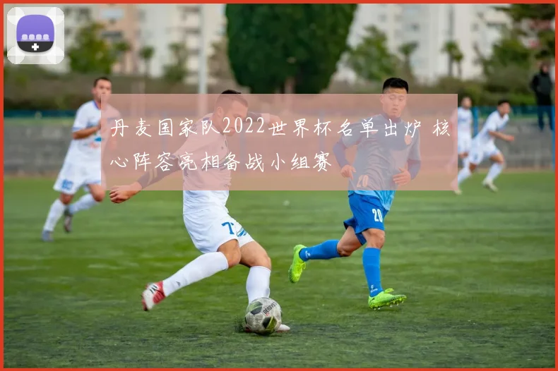 丹麦国家队2022世界杯名单出炉 核心阵容亮相备战小组赛