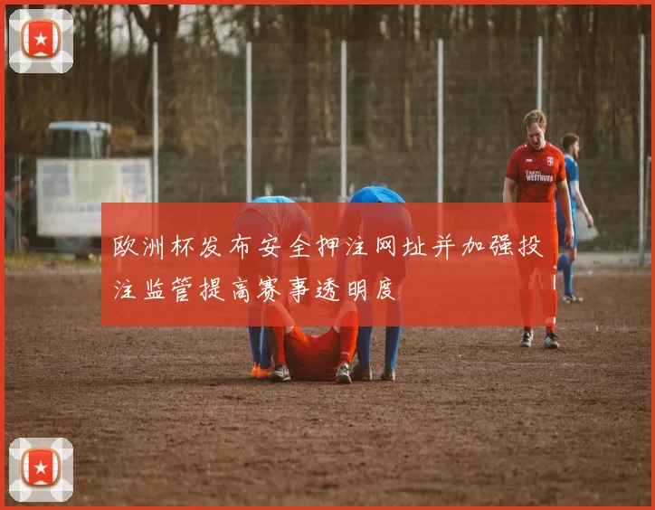 欧洲杯发布安全押注网址并加强投注监管提高赛事透明度
