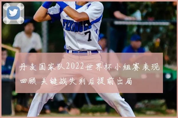 丹麦国家队2022世界杯小组赛表现回顾 关键战失利后提前出局