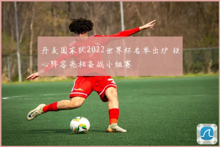 丹麦国家队2022世界杯名单出炉 核心阵容亮相备战小组赛