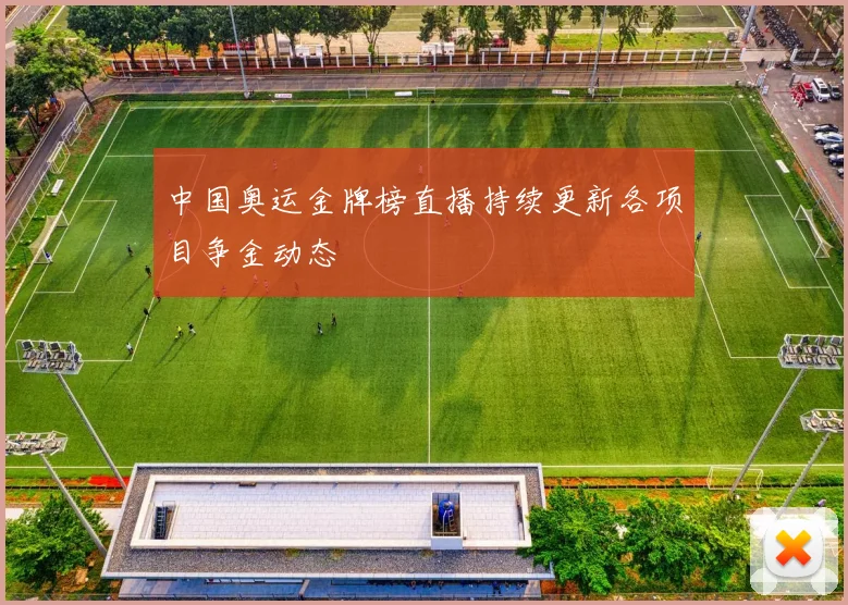 中国奥运金牌榜直播持续更新各项目争金动态