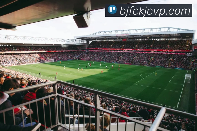 巅峰国际手机版官方下载品牌故事