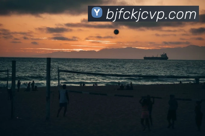 巅峰国际手机版官方下载服务体系